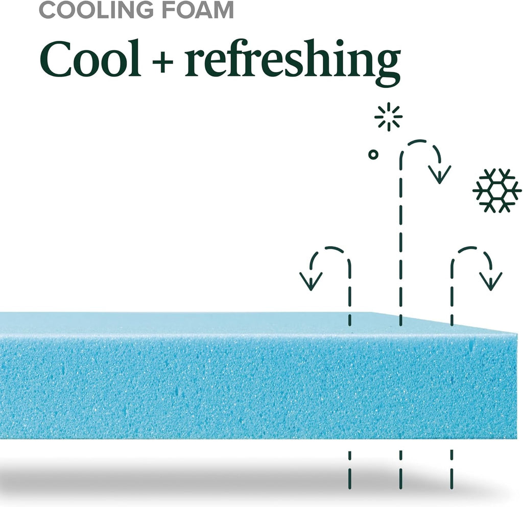 Zinus 8 Inch Green Tea Cooling Memory Foam Mattress New Version, Twin, Fiberglass Free, Medium Firmness, Cooling Gel Foam, Certified Safe Foams & Fabric, Mattress in A Box