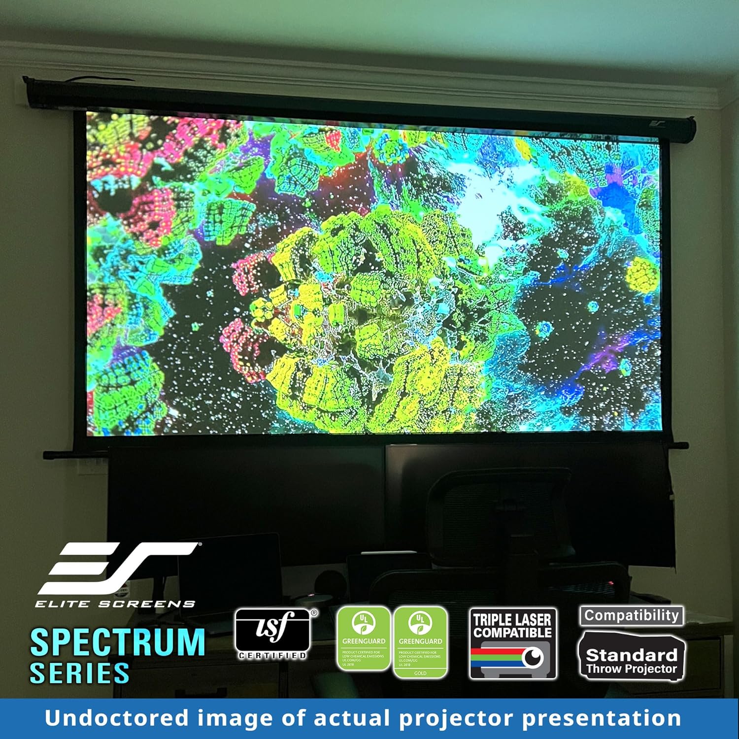 Elite Screens Spectrum RC1 Remote, 125-INCH Diag 16:9, Motorized Projection Screen Movie Home Theater 4K/8K Ultra HD Ready Drop Down, ELECTRIC125H2, Black Case