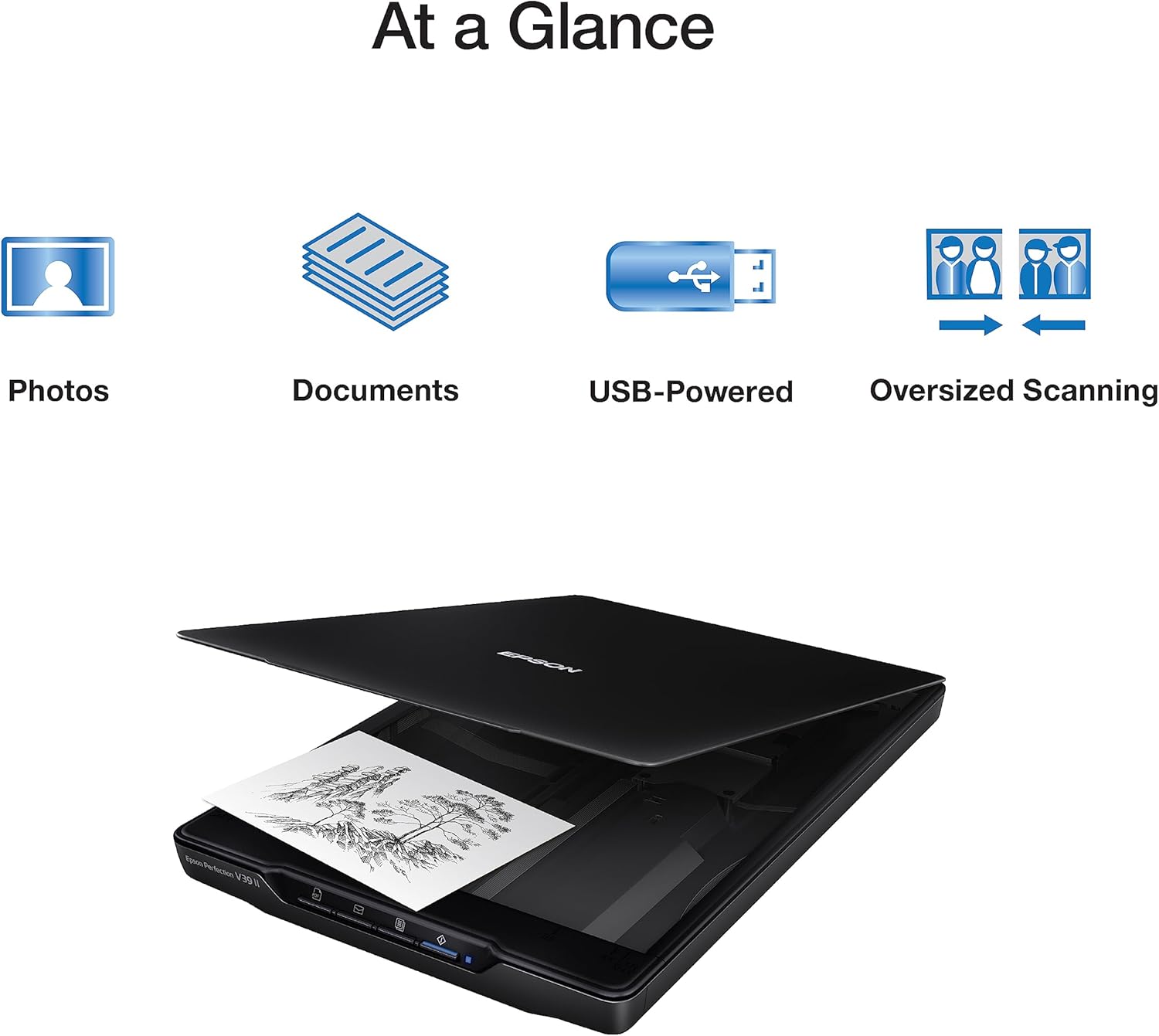 Epson - Perfection V39 II - Color Photo, Tax Receipt & Document Flatbed Scanner - 4800 dpi Optical Resolution - High-Rise, Removable Lid - Scan to Cloud - USB Power - Image Scanning - Black
