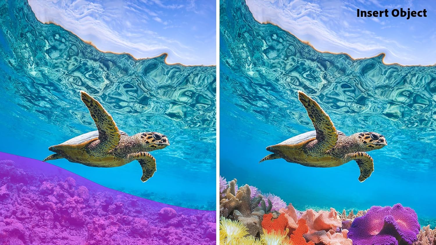 Adobe Photoshop Elements 2026 | Software Download | Photo Editing | 3-year term license | Activation Required PC/Mac Online Code