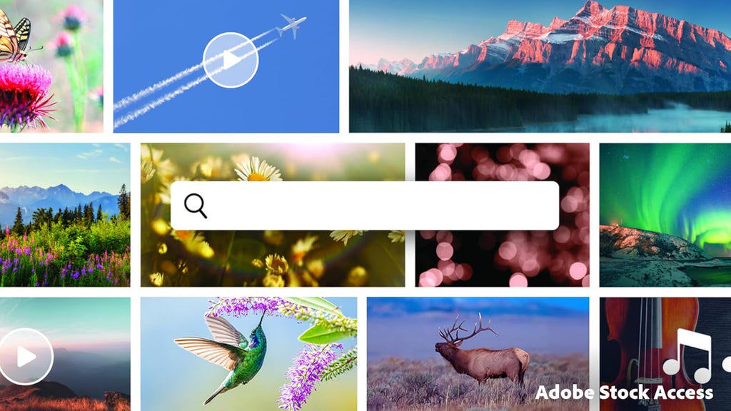 Adobe Premiere Elements 2026 | Software Download | Video Editing | 3-year term license | Activation Required PC/Mac Online Code
