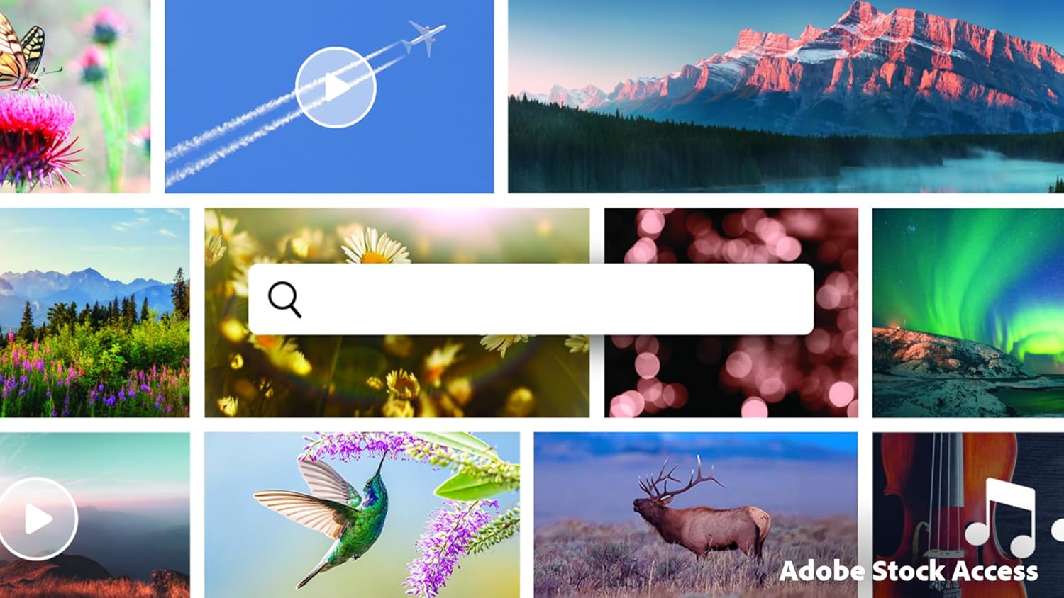 Adobe Premiere Elements 2026 | Software Download | Video Editing | 3-year term license | Activation Required PC/Mac Online Code