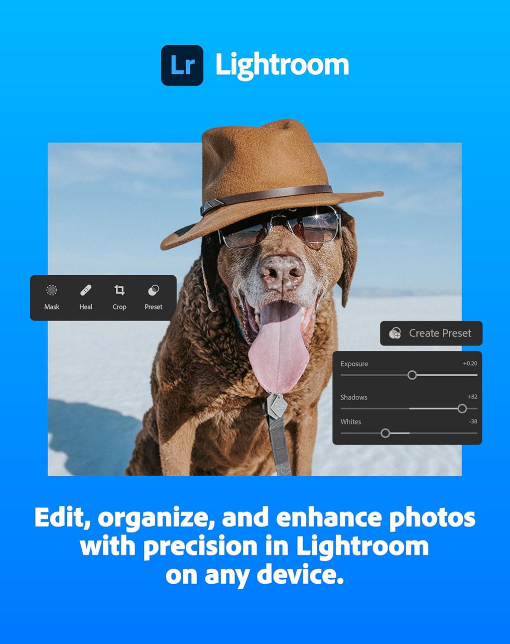 Adobe Creative Cloud Pro STE | Student & Teacher Edition | 20+ creative apps plus 100GB Storage |12-Month Subscription | PC/Mac